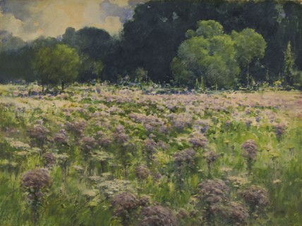 Field of Joe Pie Weeds (Pride of the Meadow), n.d.
