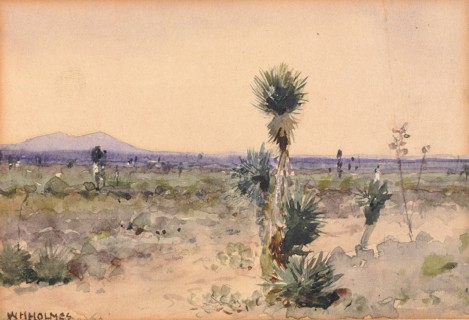 Yuccaland--Chihuahua, Mexico, n.d.