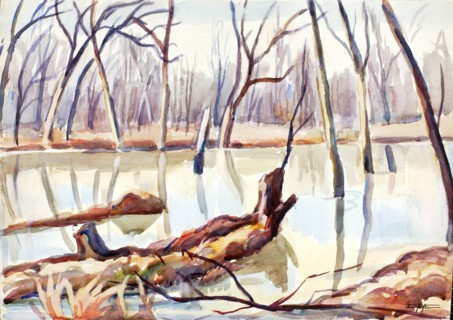 Rock Creek, Winter, ca. 1920-1929.