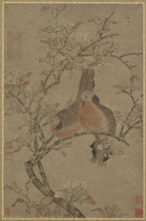Two Doves on a Flowering Branch, 14th-15th century. Formerly attributed to Bian Luan.