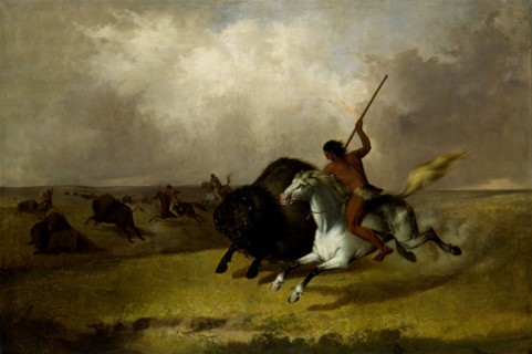 Buffalo Hunt on the Southwestern Prairies, 1845.