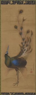 Peacock, 1786.