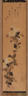 Chrysanthemums, 18th-19th century.