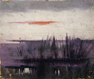The Sky Simulated by White Flamingoes study for book, Concealing Coloration in the Animal Kingdom, ca. 1905-1909.