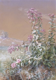 Untitled, 1876.