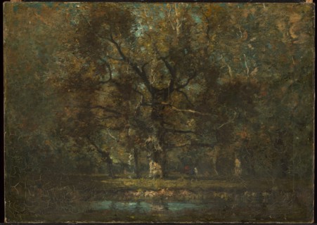 Oak Tree, 1895.