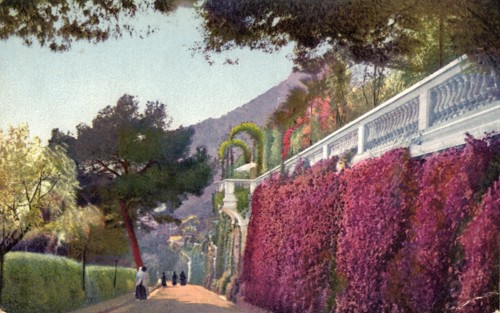 Monte Carlo, 1939. Colourful planting in the principality of Monaco.