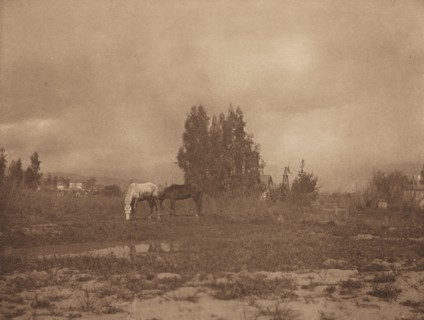 Pasadena Landscape, 1899.
