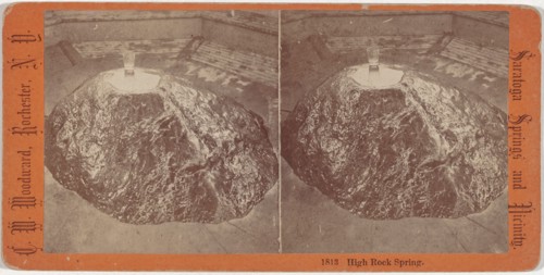Saratoga Springs and Vicinity, c. 1860.