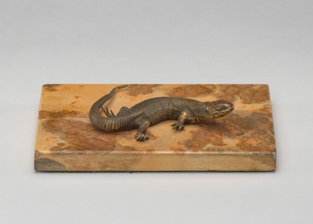 Life Cast of a Lizard, probably 19th century.