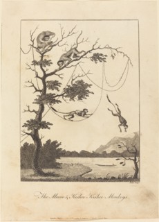 The Mecoo & Kisbee Kishee Monkeys, 1793.