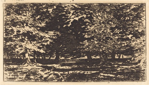 Forêt.