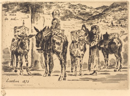 Feuilles d'Anes du Midi (Sheet of Donkeys from the South), 1873.
