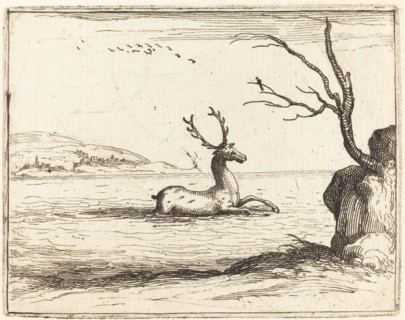 Stag in the Water, 1628.