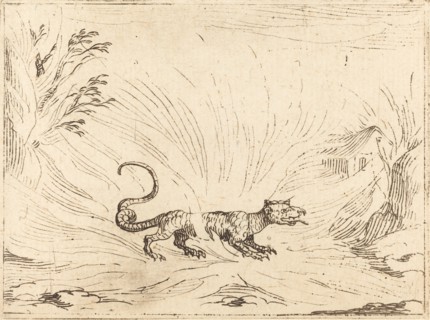 Salamander Surrounded by Flames.