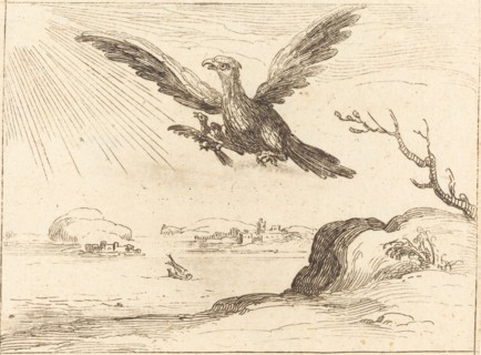 Eagle and Young.