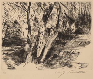 Birkenstämme im Tiergarten (Birch Trees in the Tiergarten), 1920-1921.