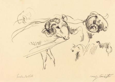 Schafböcke (Rams), 1912.