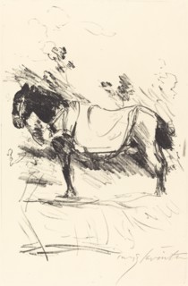 Reitpferd (Riding-Horse), 1916.