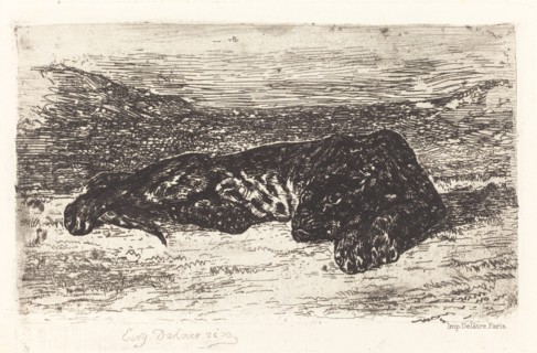 Tiger Sleeping in the Desert, c. 1830.