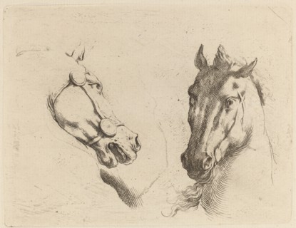 Head of a Horse Seen in Profile and in Three-Quarters.