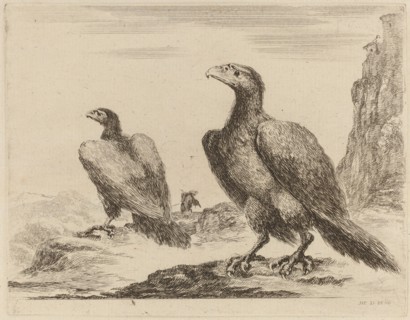 Two Eagles, Both with Heads Turned to the Left, On a High Cliff.