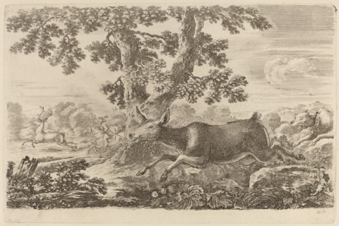 Deer Chased by a Dog to the Right.