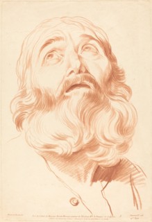 Head of a Man.