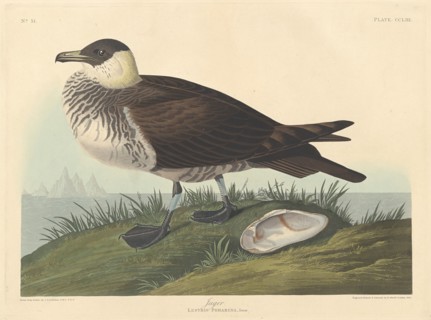 Jager, 1835.