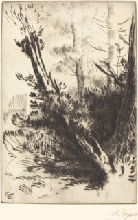 In the Woods (Dans les bois).