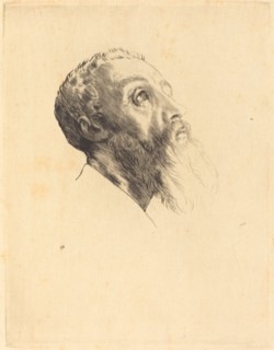 Head of a Model (Tete de modele).