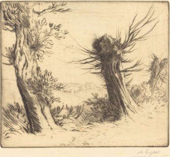 Willows (Les saules).