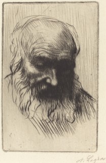 Head of an Old Man (Etude de tete).