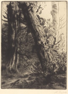 Edge of a Brook (Bord de ruisseau).