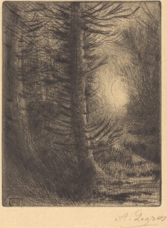 Woods in Winter Sun, 1st plate (Soleil d'hiver dans les bois).