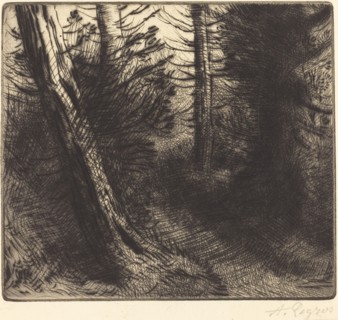 Path through the Woods (Sentier sous bois).