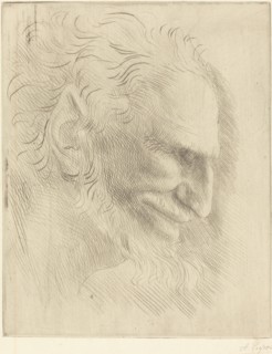 Study for the Head of a Man (Etude de tete d'homme).
