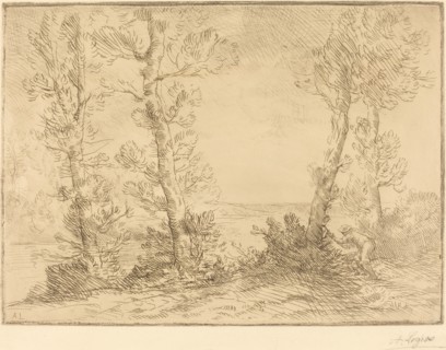 Salmon Fisher (Le pecheur du saumon).