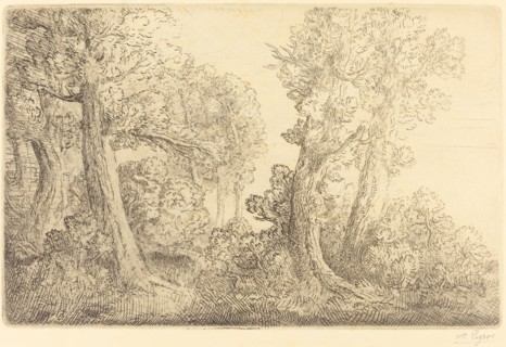 Near the Woods, Veronne (Pres du bois, Veronne).
