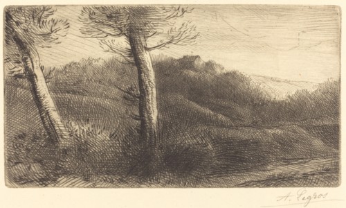 Sunset (Coucher du soleil).