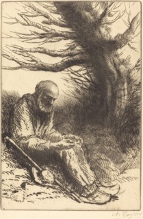 Old man, Old Tree (Vieil homme, vieil arbre).