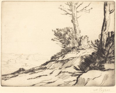 Hill with Bushes (La butte aux brousailles).