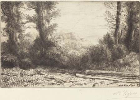 Edge of a Wood (Lisiere de bois).