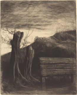 Pollard Willows (Les saules tetards).