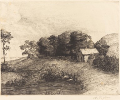 Landscape with Pond (Le paysage a la mare).