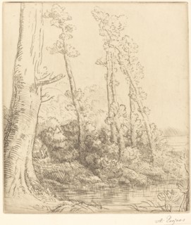 Little Pond (La petite mare).