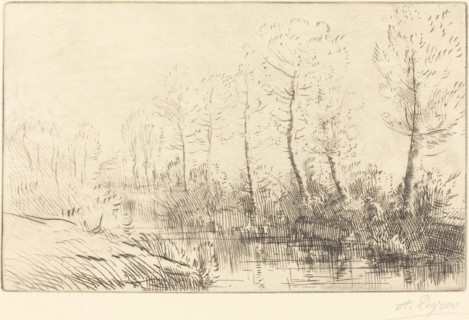 Birch Trees: Water's Edge Seen in Morning Light (Les bouleaux: Bord de l'eau, effet du matin.