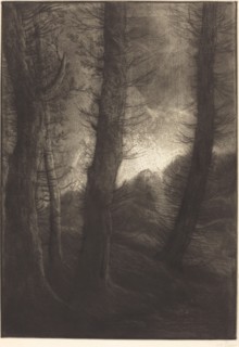 Large Trees Seen against the Sun (Les grandes arbres: Effet du soir).
