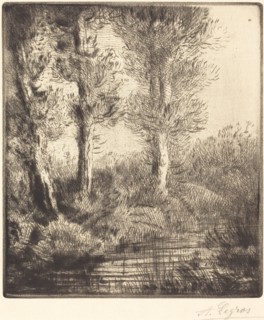 Banks of the Saint-Pre (Rive du Saint-Pre).