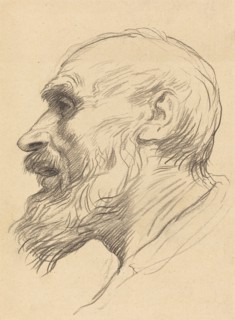 Head of an Old Man.